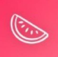 瓜皮AI
