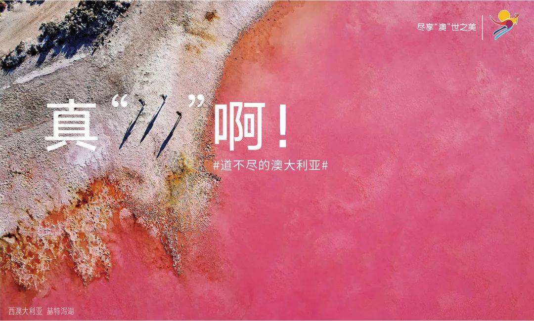 鸟哥笔记,营销推广,文案包邮,技巧,策略,文案,创意,营销 好文案,会玩字