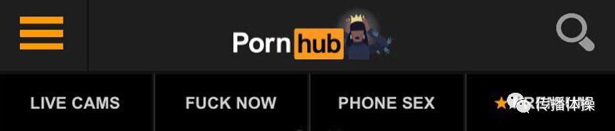 Pornhub,一个神奇的网站 Pornhub:危险网站中的清流