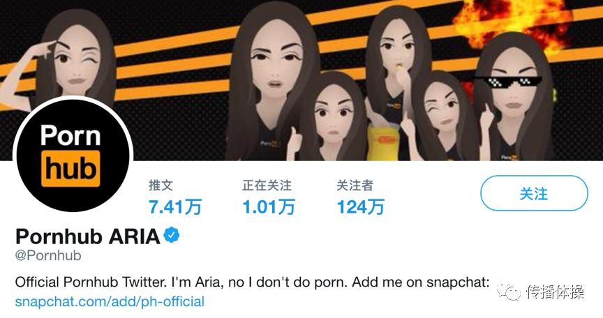 Pornhub,一个神奇的网站 Pornhub:危险网站中的清流