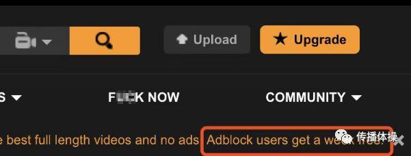 Pornhub,一个神奇的网站 Pornhub:危险网站中的清流