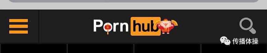 Pornhub,一个神奇的网站 Pornhub:危险网站中的清流