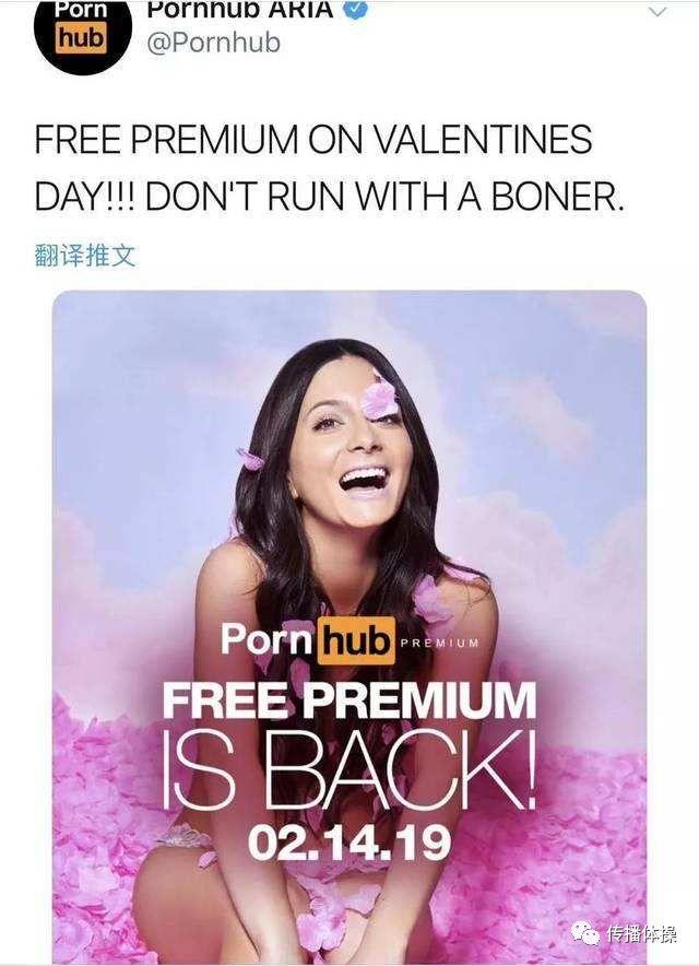 Pornhub,一个神奇的网站 Pornhub:危险网站中的清流