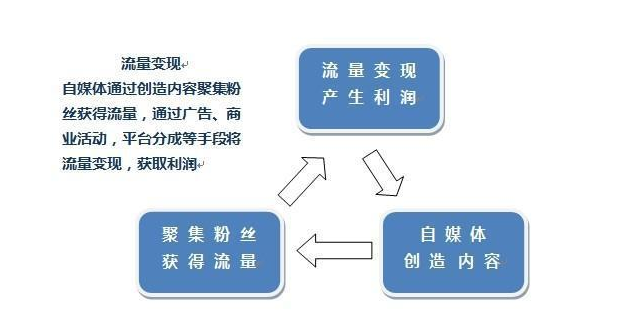 鸟哥笔记,新媒体运营,王肆岁,自媒体,思维,运营入门 自媒体能赚多钱?新人该如何入局自媒体?该如何定位?