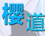 樱道随机图片API ฅ^•ﻌ•^ฅ 喵呜?~