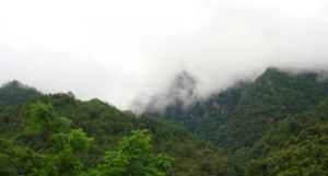 1 1