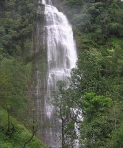 1 1