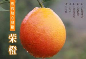 荣橙.放心脐橙 荣橙.放心脐橙