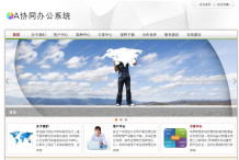 案例展示 案例展示