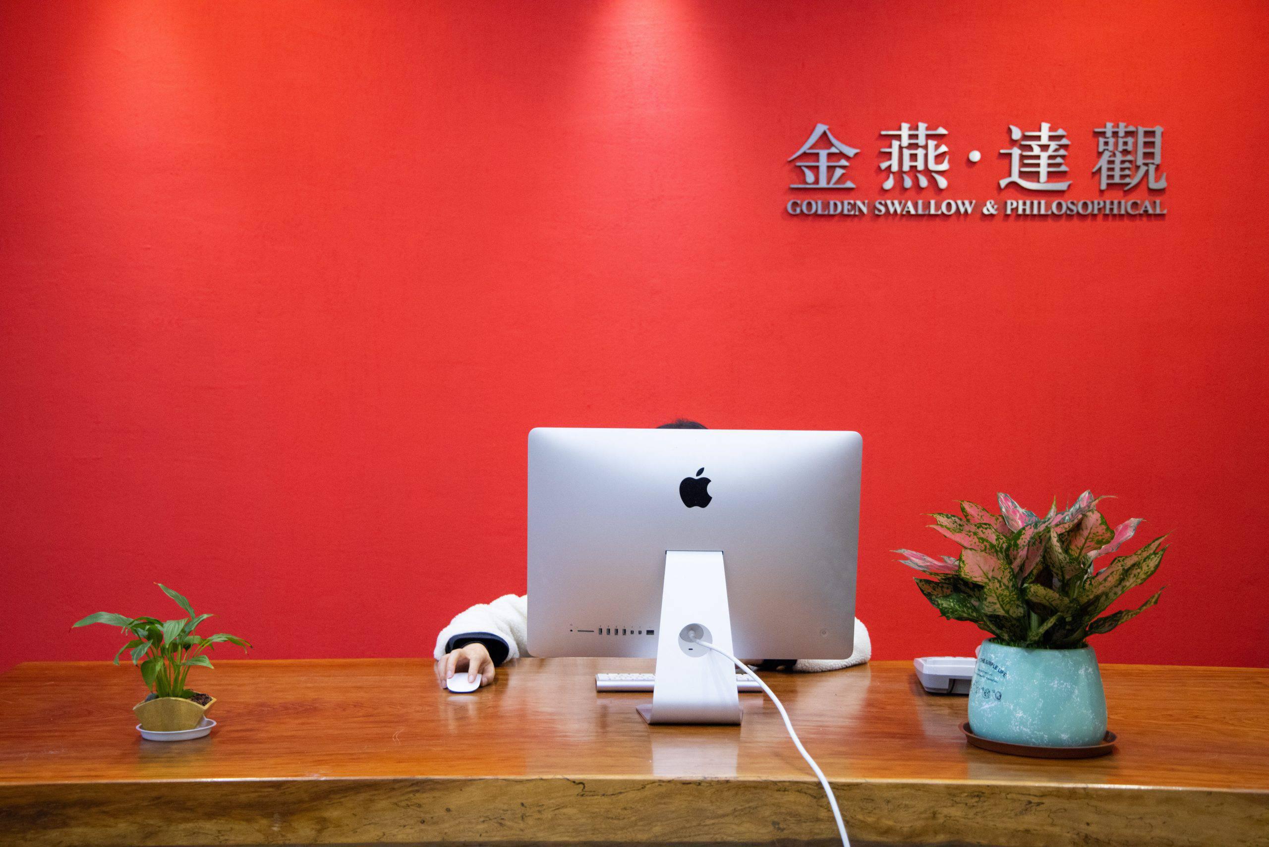 金燕达观广告