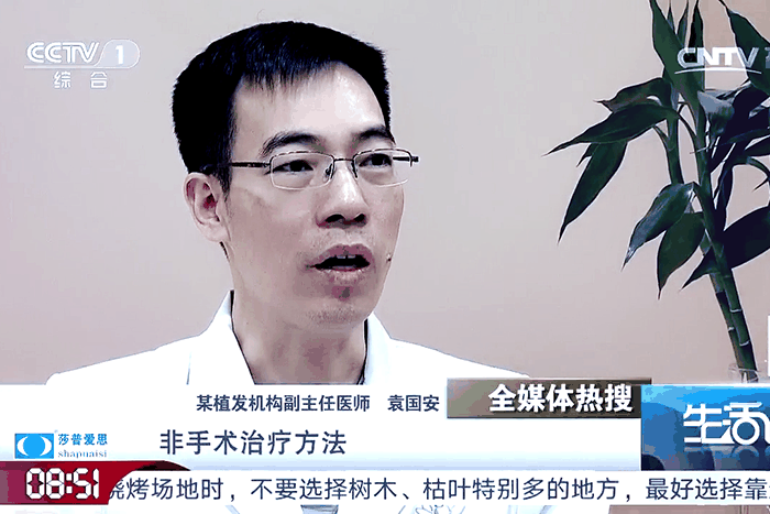 碧莲盛