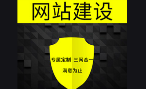 企业门户网站