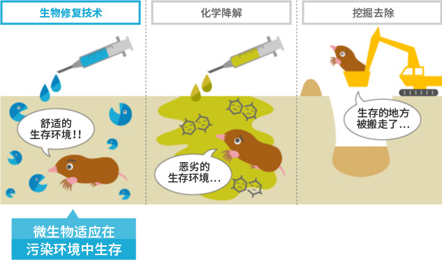 生物修复