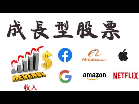 成长型股票