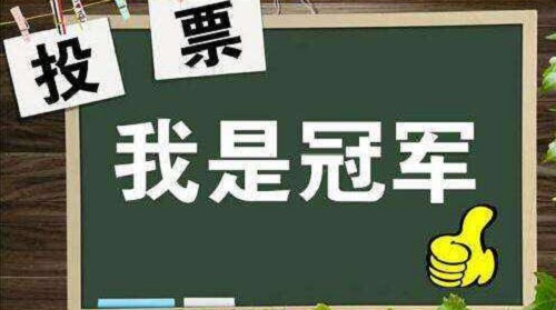 投票机器人