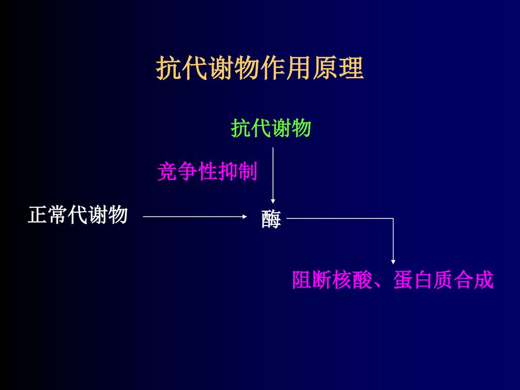 抗代谢物