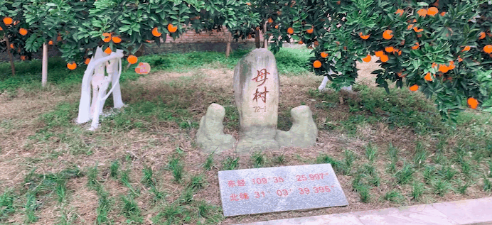 奉节脐橙
