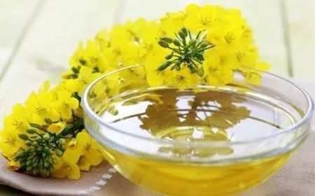 芥子油