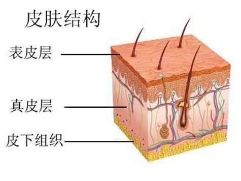 皮肤状况