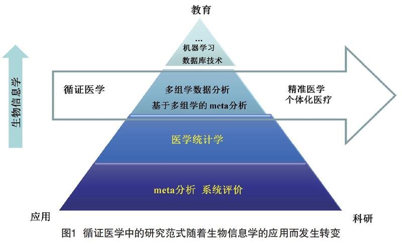 循证教育