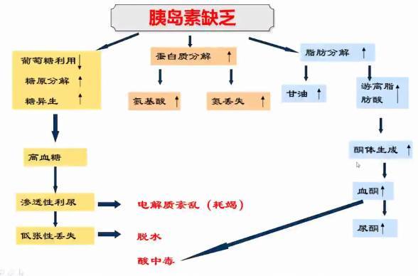 溢出代谢
