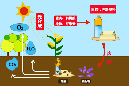 生物降解塑料