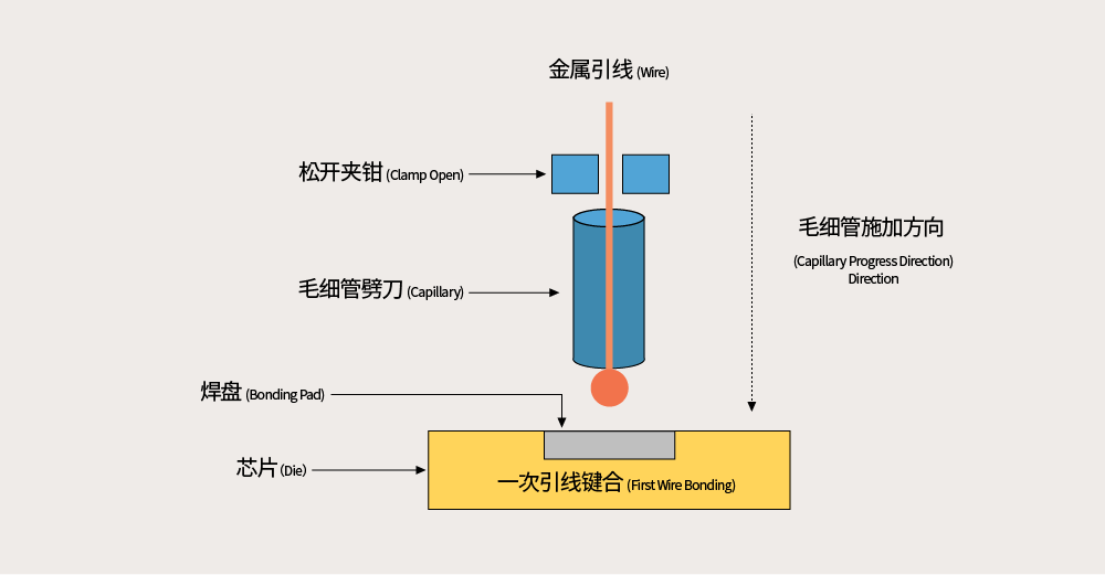 引线键合