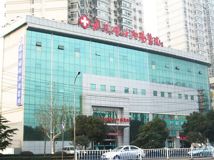 武汉博仕中医肛肠医院