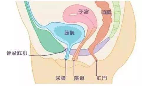 间质性膀胱炎
