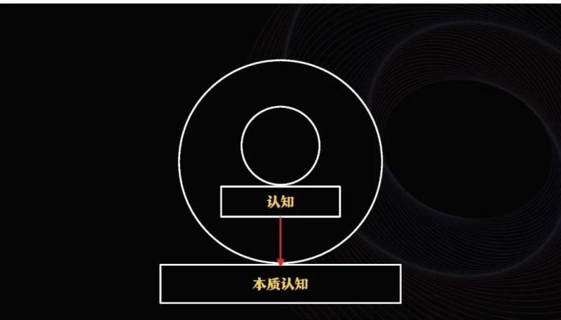 认知演练