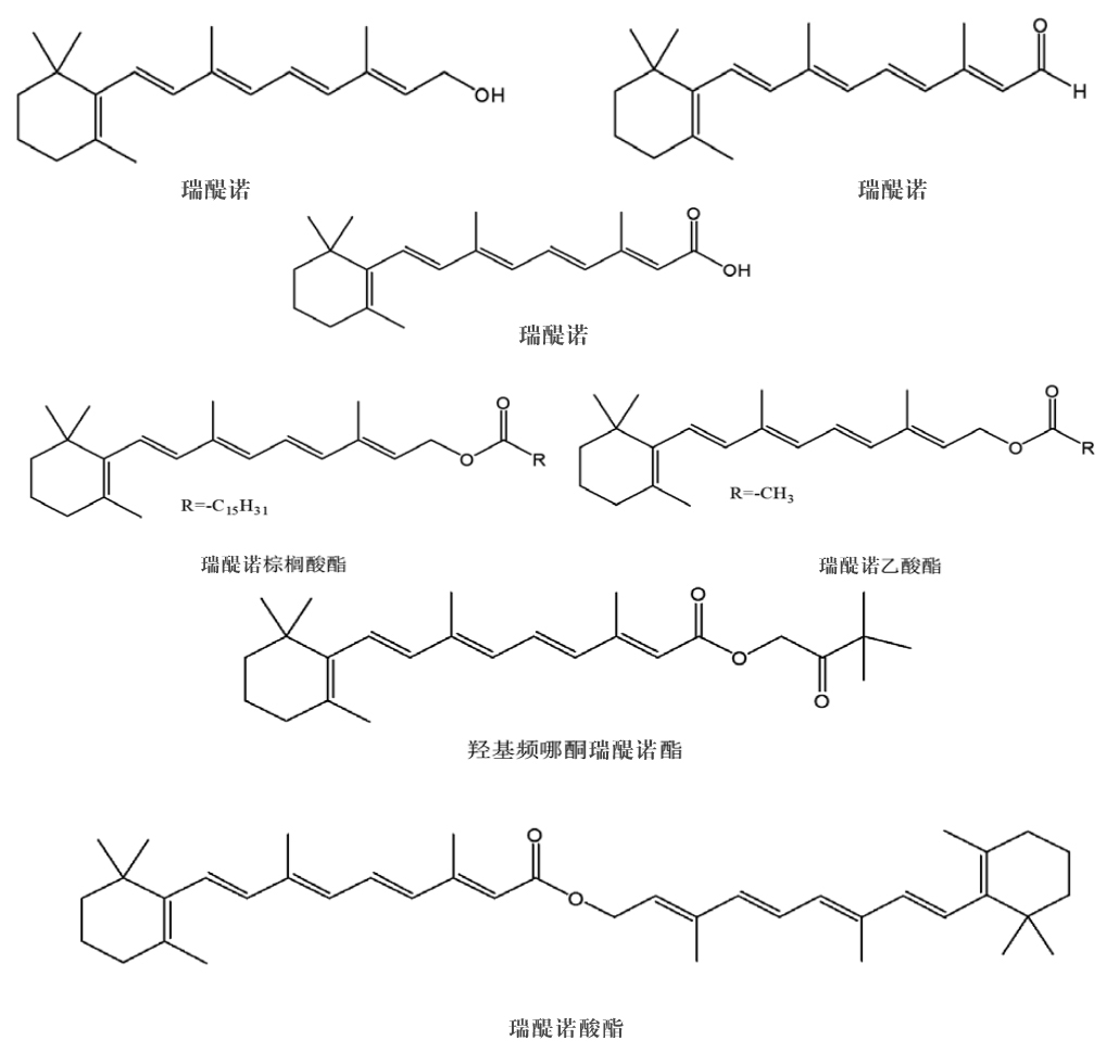 瑞醍诺
