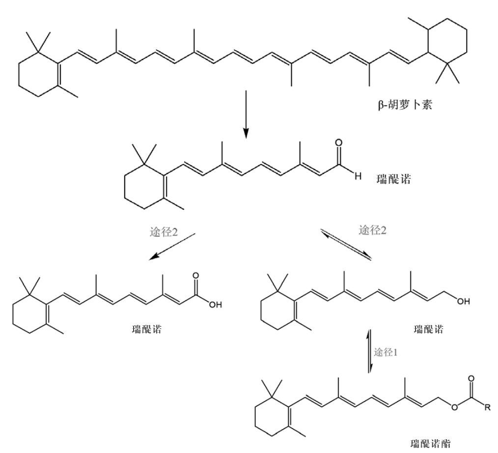 瑞醍诺