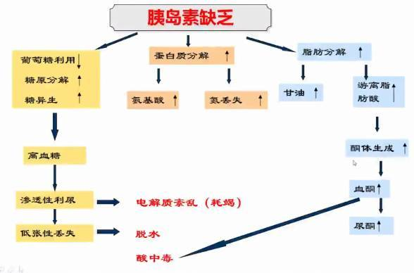 酮症酸中毒