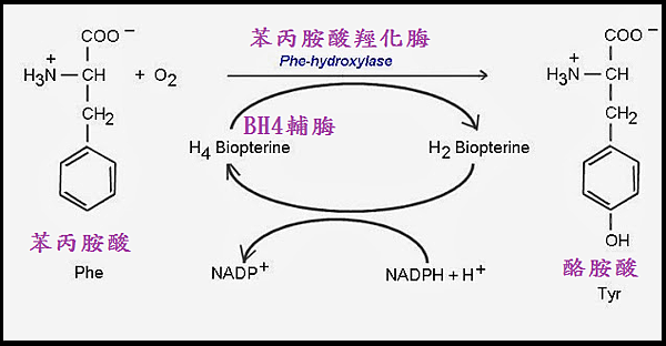 酮尿症