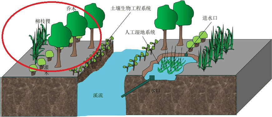 土壤生物工程
