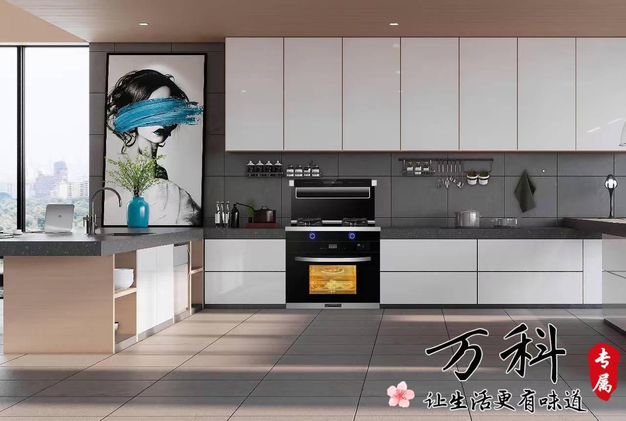 万科集成灶