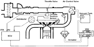 T-Vis