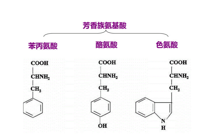 谢尔曼环