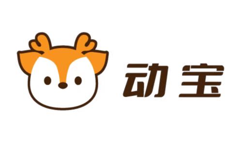 动宝培训管理系统