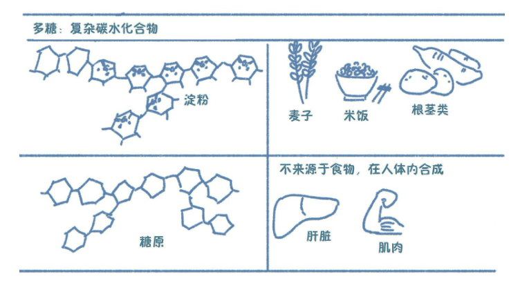 碳水化合物化学
