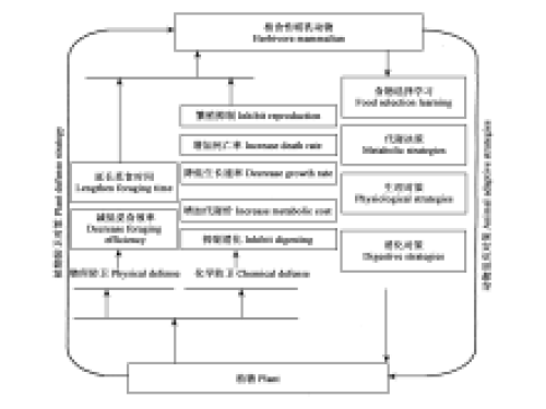 合作协同进化