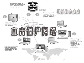 Bredolab僵尸网络