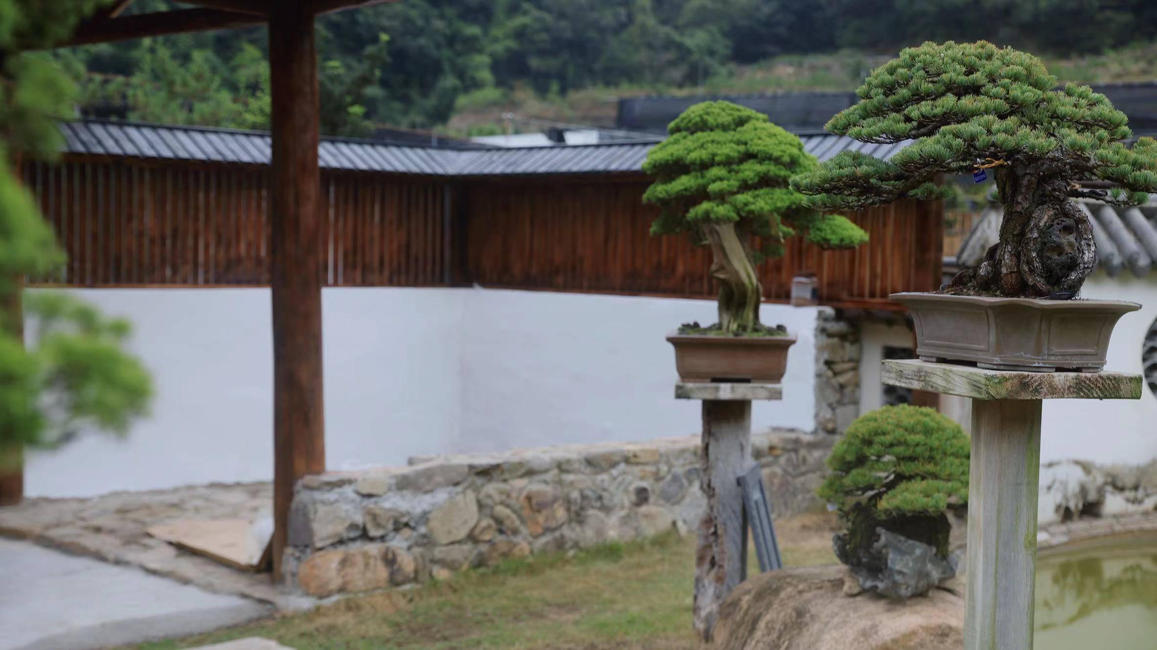 三十三松堂