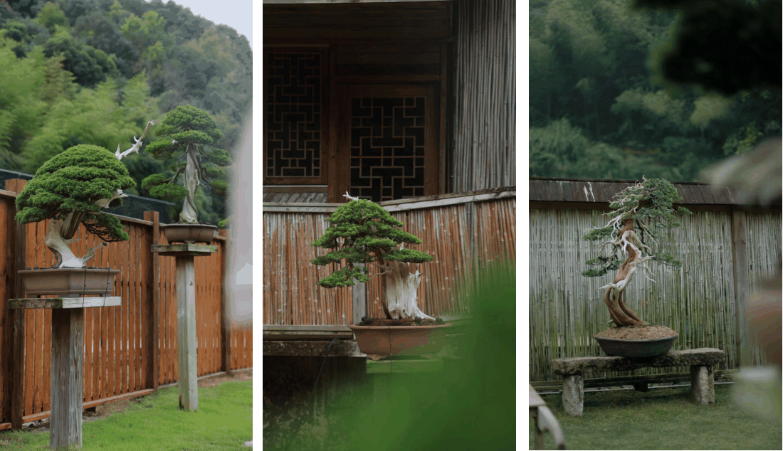三十三松堂