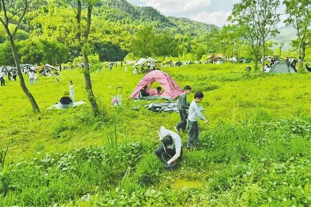 郊游
