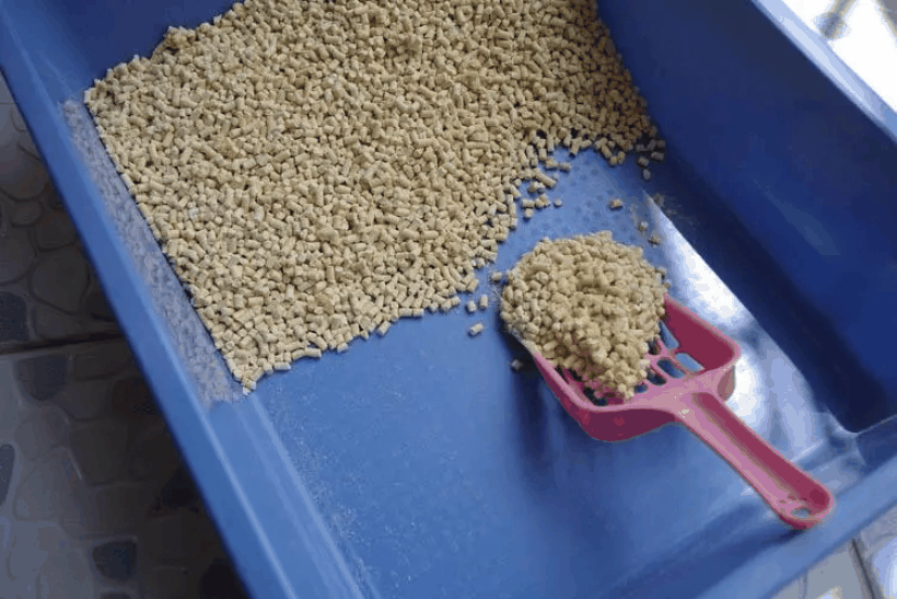 猫砂