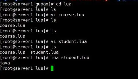 Lua