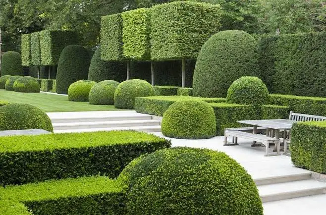 园艺植物