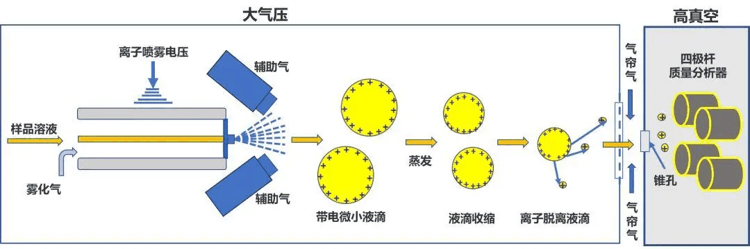 离子源