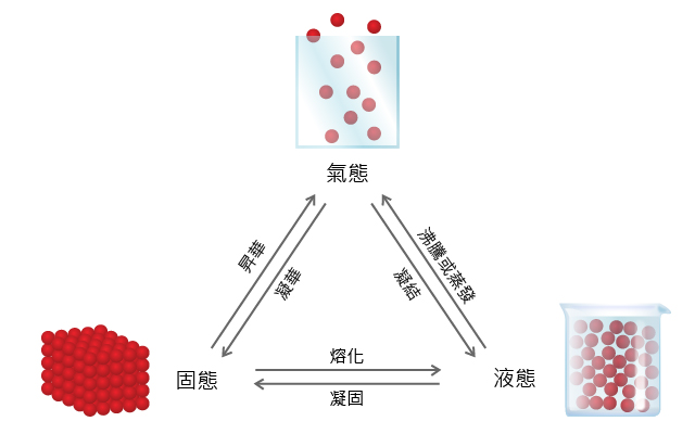 简并态物质